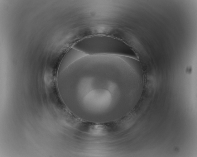 X0000113070324200909110946