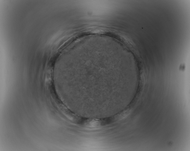 X0000113070325200909110946