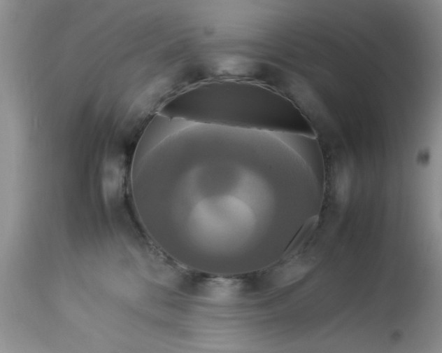 X0000113070328200909110946