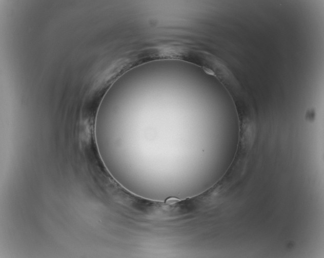 X0000113070329200909110946