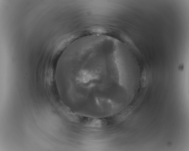 X0000113070330200909110946