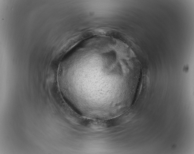 X0000113070331200909110946