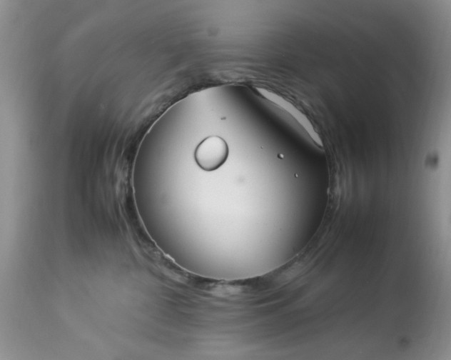 X0000113070332200909110946