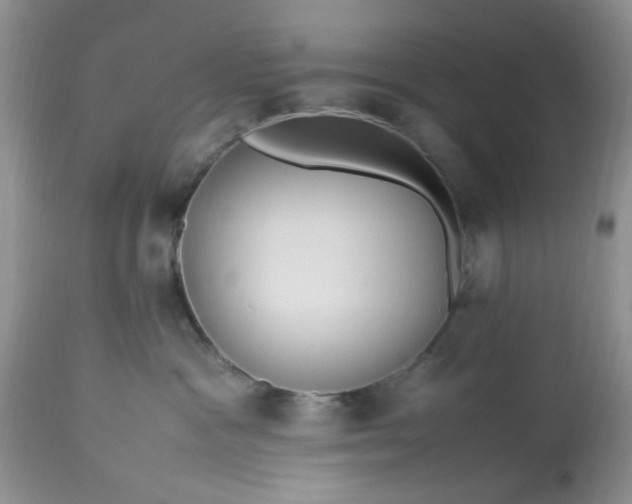 X0000113070333200909110946