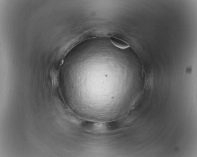 X0000113070335200909110946