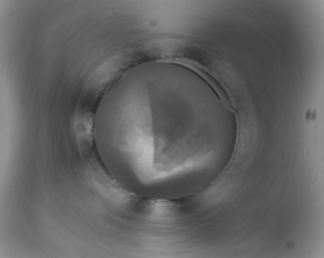 X0000113070336200909110946