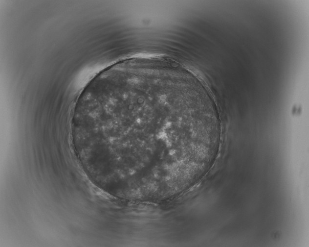 X0000113070337200909110945