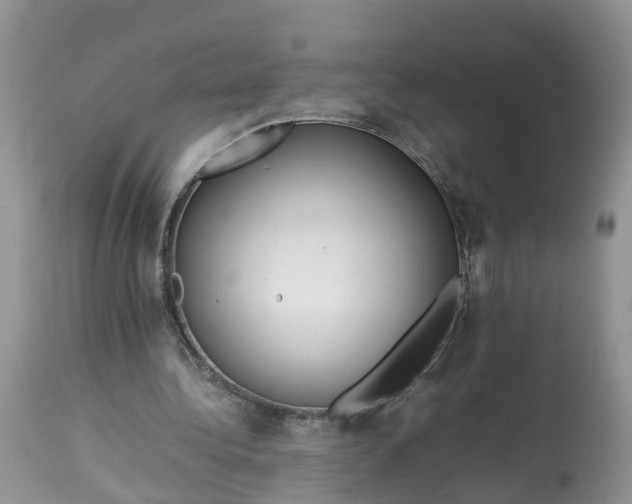 X0000113070340200909110945