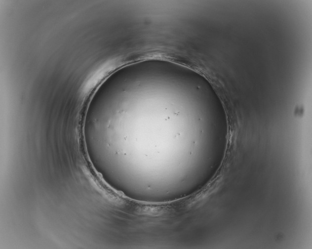 X0000113070341200909110945