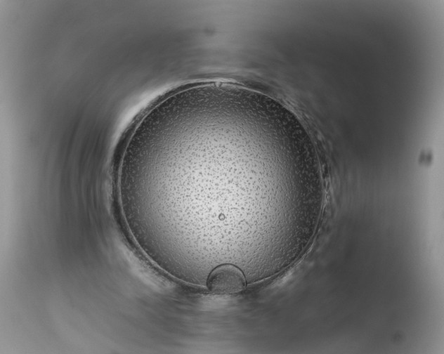 X0000113070342200909110945