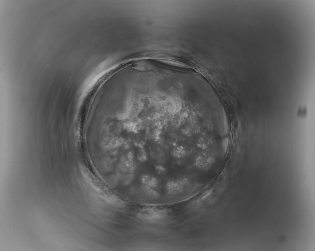 X0000113070343200909110945