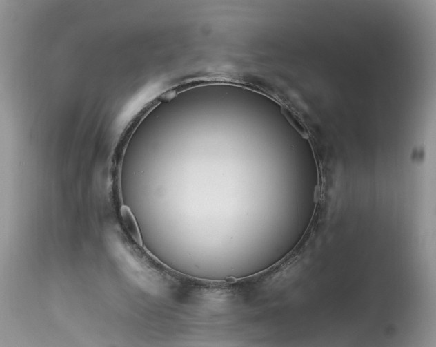 X0000113070344200909110945