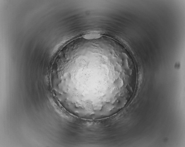 X0000113070345200909110945