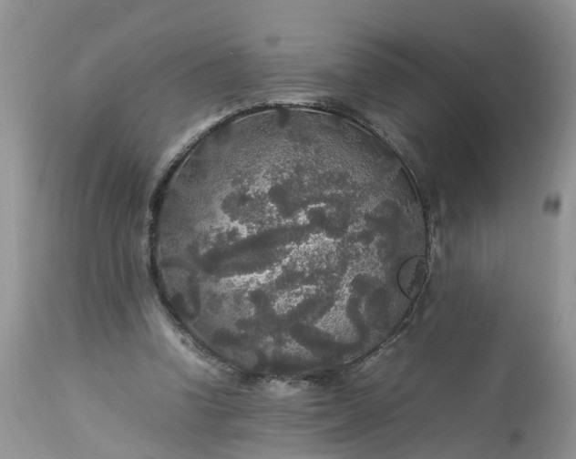 X0000113070346200909110945