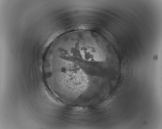 X0000113070347200909110945