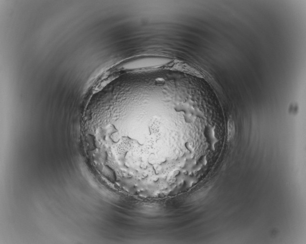 X0000113070349200909110945