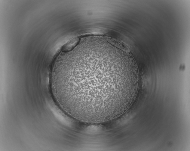 X0000113070350200909110945