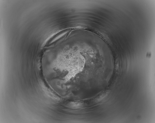 X0000113070351200909110945