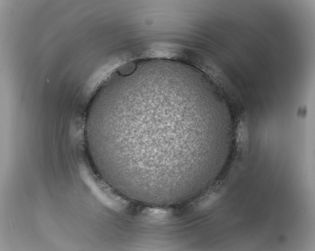 X0000113070352200909110945