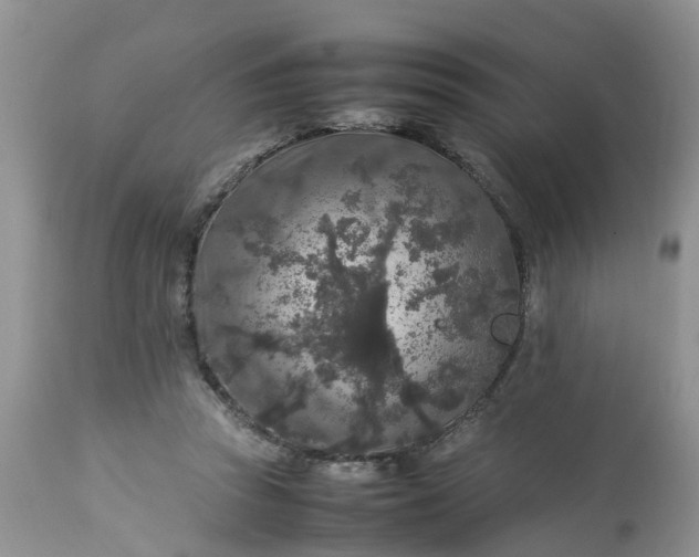 X0000113070353200909110945