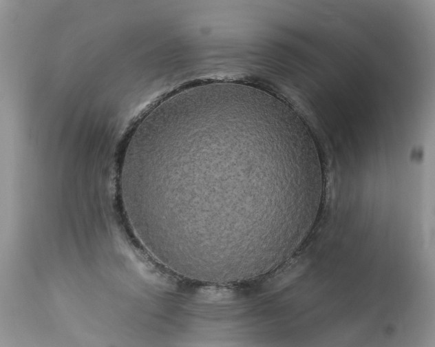 X0000113070354200909110945