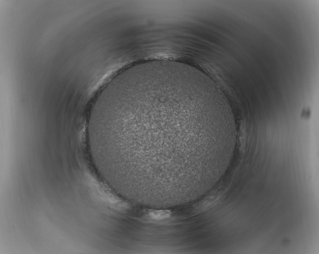 X0000113070355200909110945