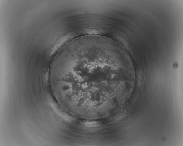 X0000113070357200909110945