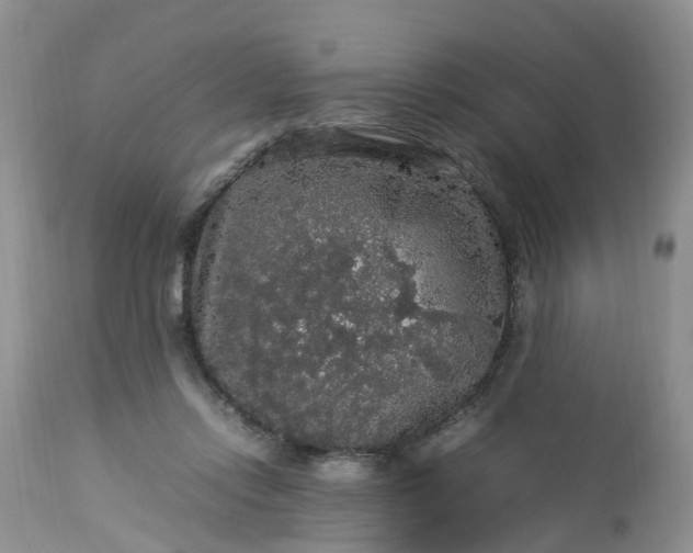 X0000113070358200909110945