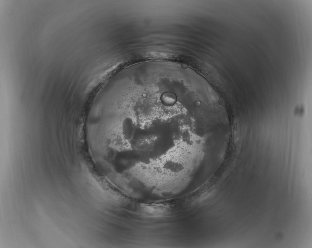 X0000113070359200909110945