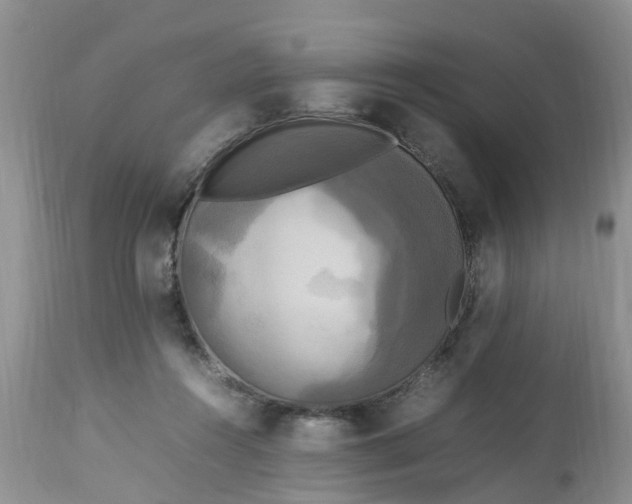 X0000113070360200909110945