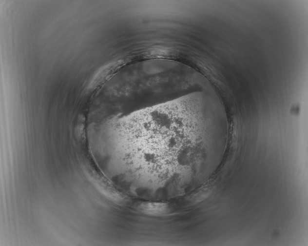 X0000113070361200909110945