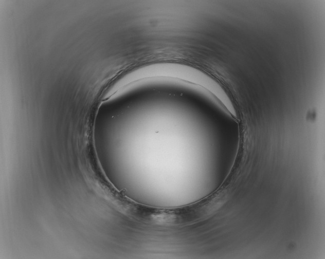 X0000113070362200909110945