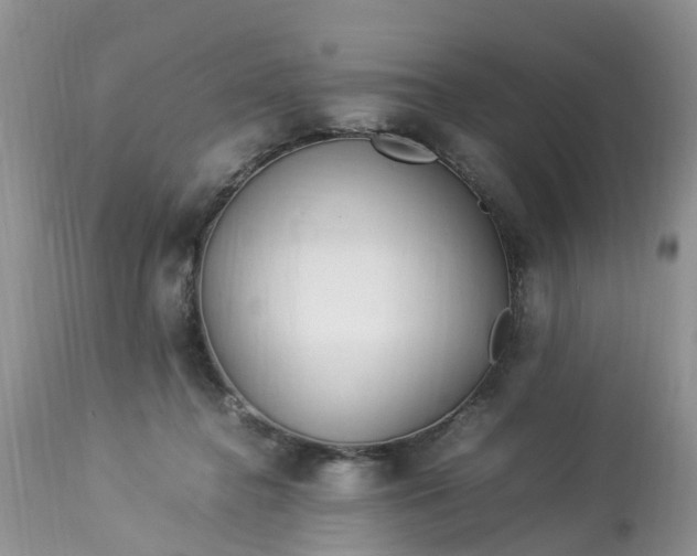 X0000113070364200909110946