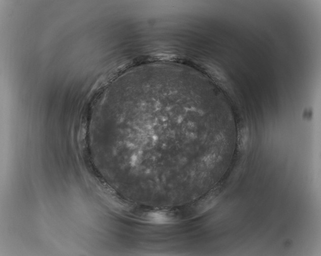 X0000113070365200909110946