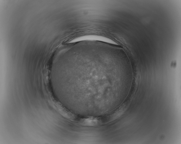 X0000113070366200909110946