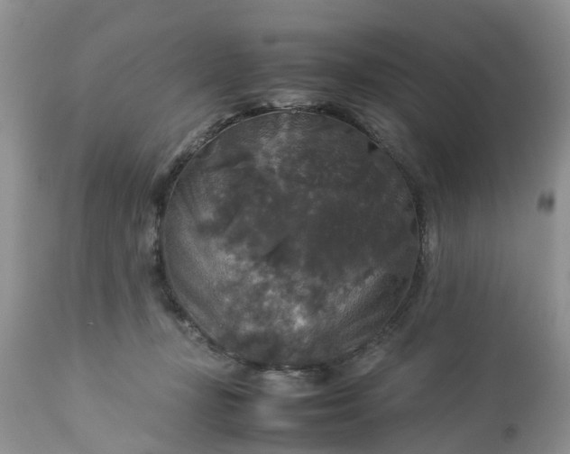 X0000113070367200909110946