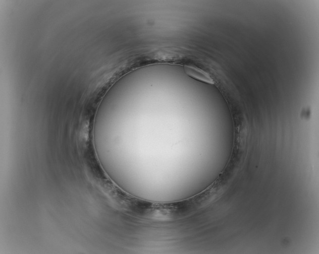 X0000113070368200909110946