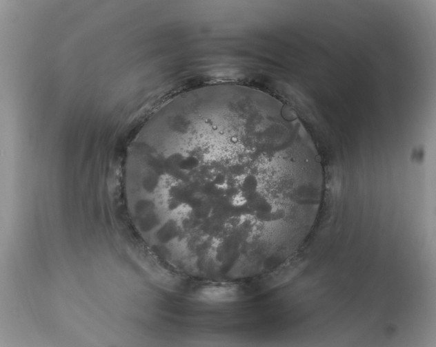 X0000113070369200909110946