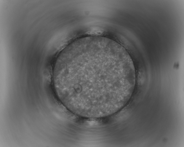 X0000113070370200909110946