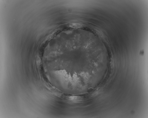 X0000113070371200909110946