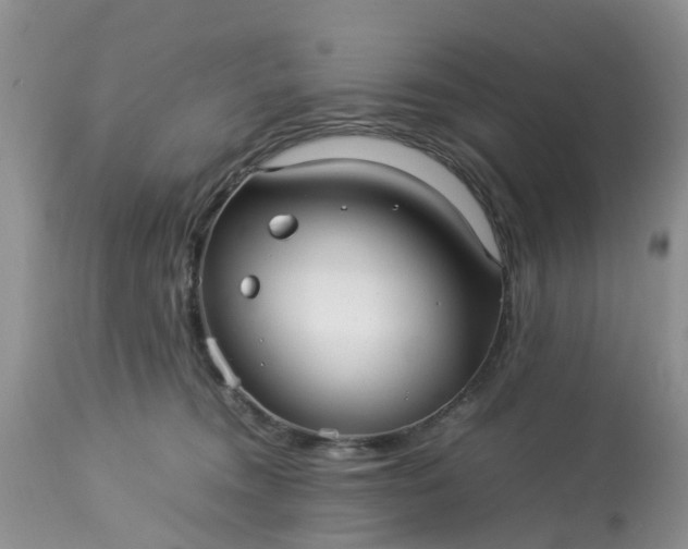 X0000113070372200909110946