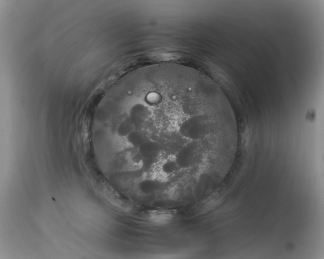 X0000113070373200909110946