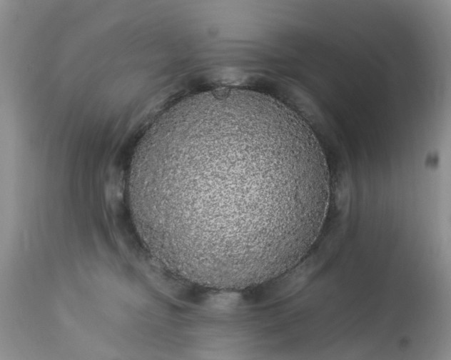 X0000113070374200909110946