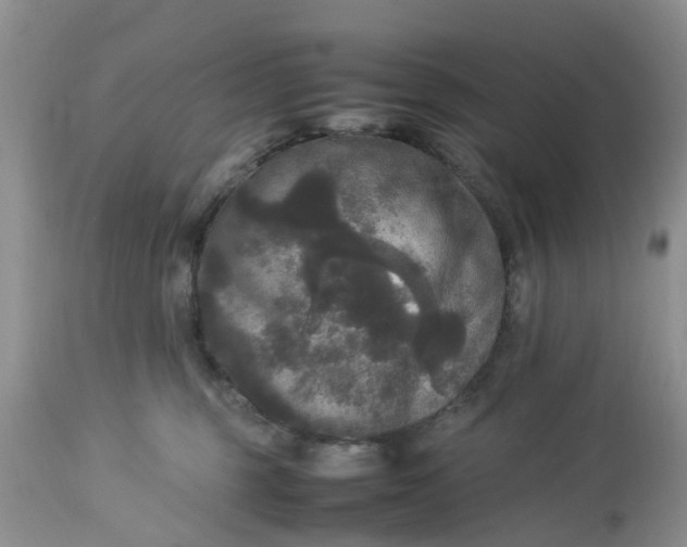 X0000113070375200909110946