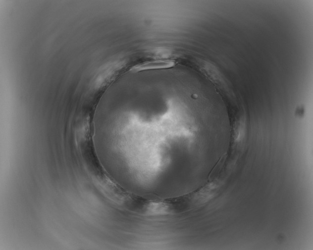 X0000113070376200909110946