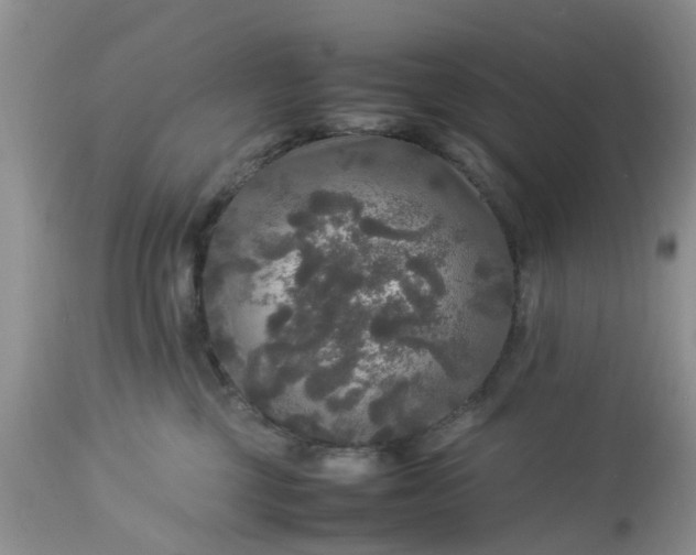 X0000113070377200909110946