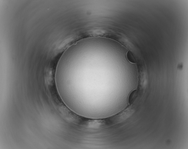 X0000113070378200909110946