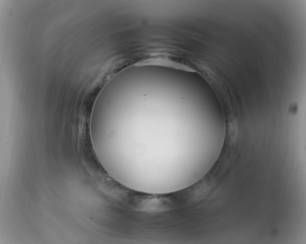 X0000113070379200909110946