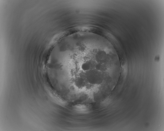 X0000113070381200909110946