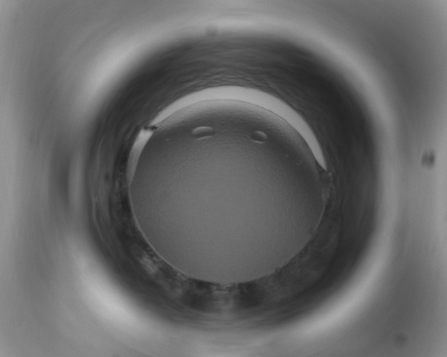 X0000113070382200909110946